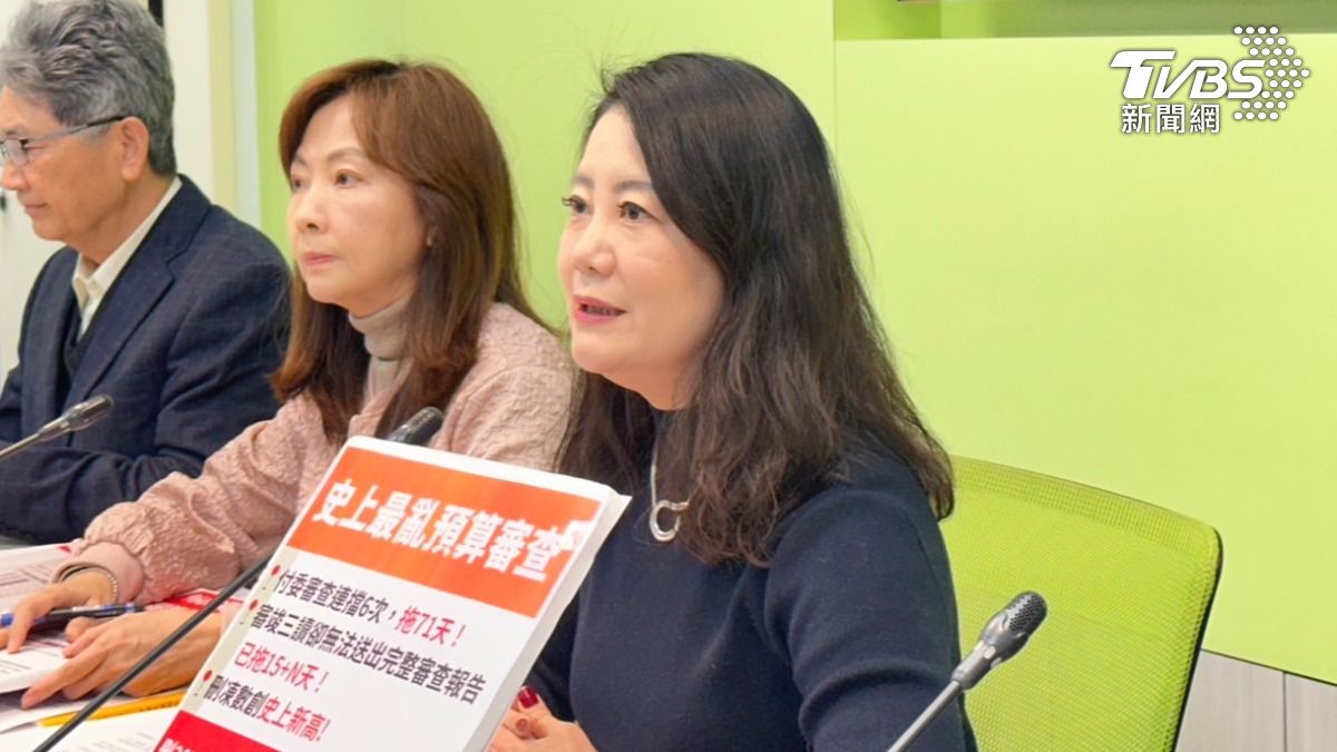 民進黨立法院團幹事長吳思瑤。（圖／潘袁詩羽攝）
