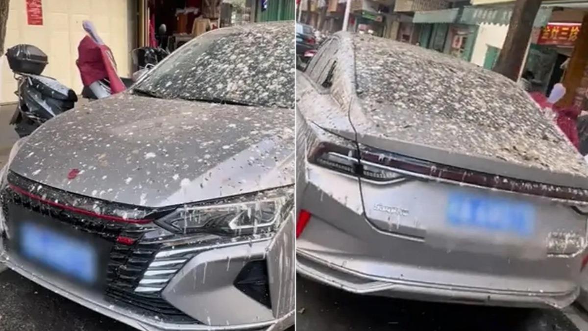 男子的愛車被淋滿鳥屎、慘不忍睹。（圖／翻攝自網易網）