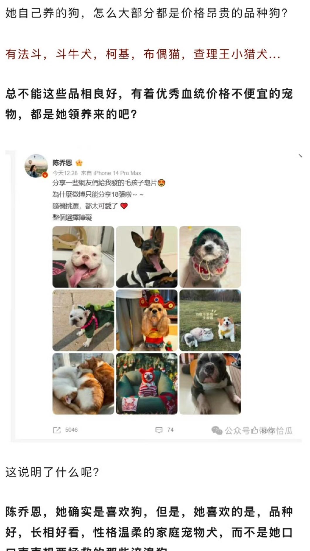 陳喬恩愛狗被質疑。（圖／翻攝自陳喬恩微博）