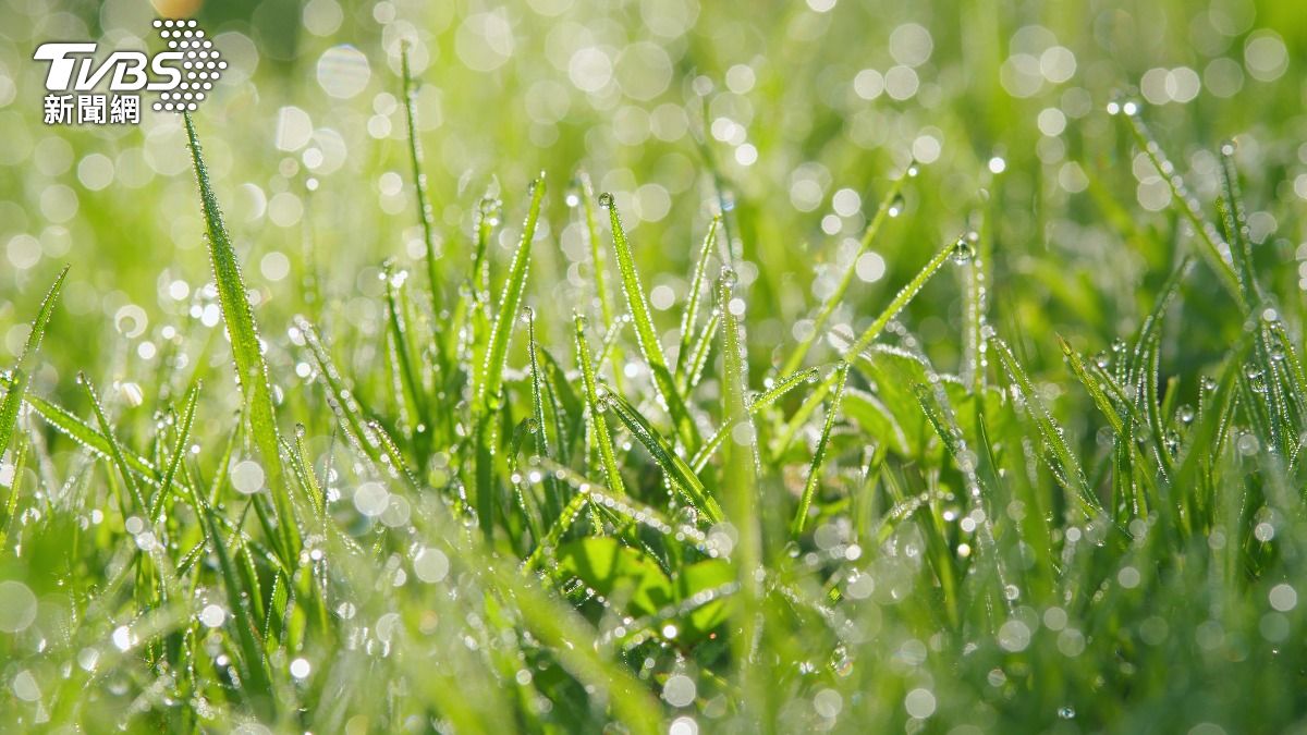 雨水節氣-雨水生肖-雨水生肖遇水則發-雨水開運方式