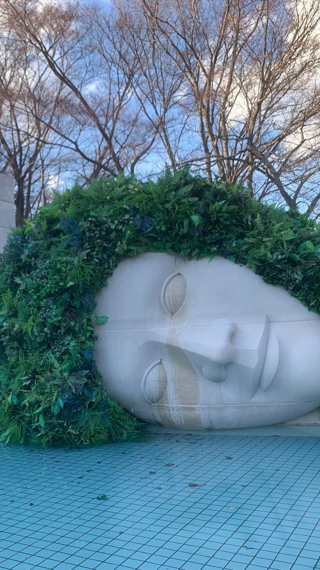 巨大人頭雕像側倒水池中。(圖/黃春梅臉書)