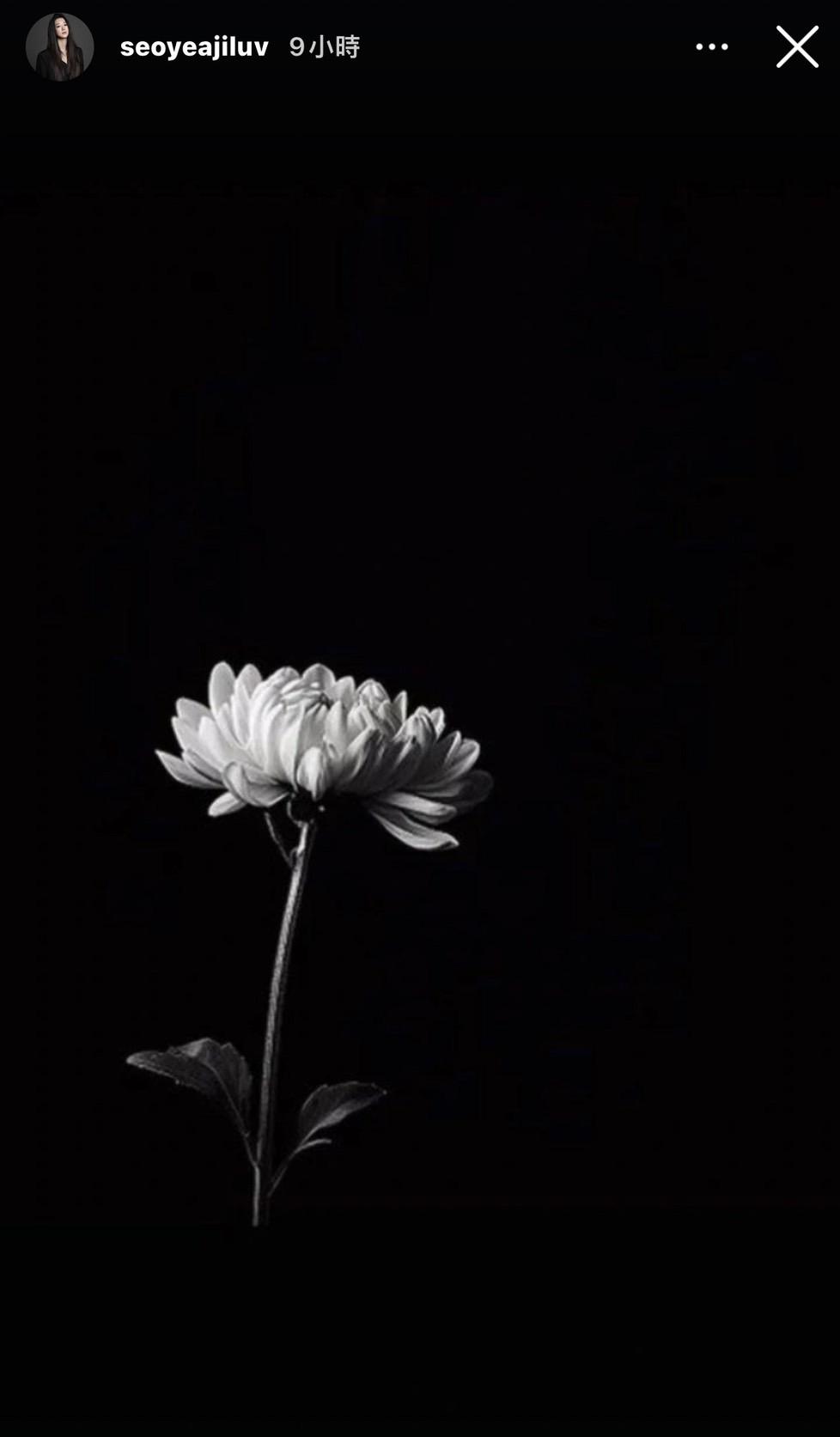 徐睿知PO出一朵菊花，被認為是在哀悼金賽綸。（圖／翻攝自徐睿知IG）