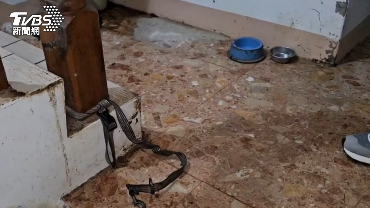 狗在一旁休息，卻被強灌農藥。（圖／TVBS）