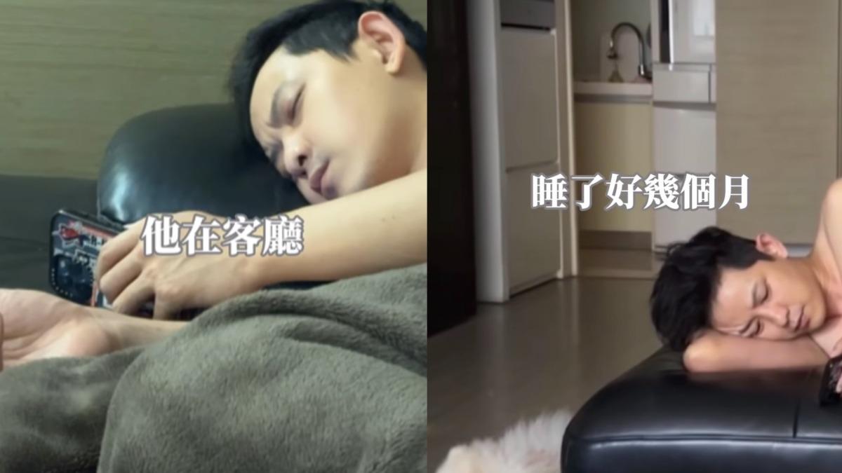 敖犬不惜睡在沙發。（圖／翻攝自piglettickle IG）