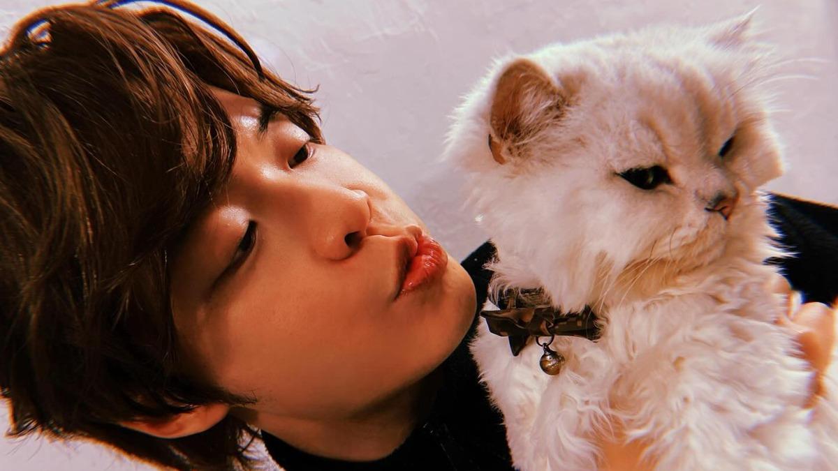 阿璞相當疼愛「寶玓」，時常在社群分享與愛貓的合照。（圖／翻攝自八三夭阿璞臉書）