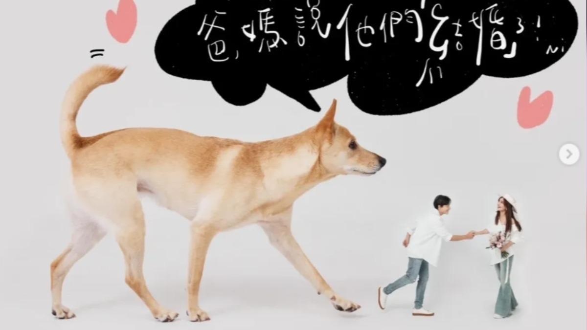 孫協志和夏宇童宣布結婚。（圖／翻攝孫協志IG）