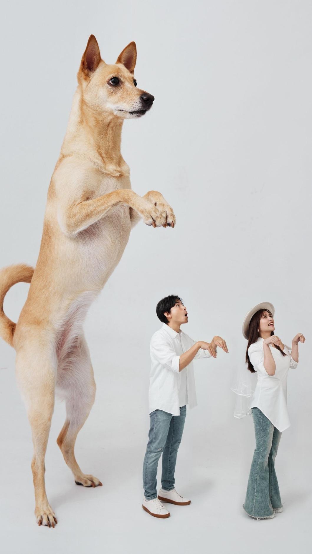 孫協志、夏宇童和Nini都擺出狐蒙的動作。（圖／翻攝孫協志臉書）