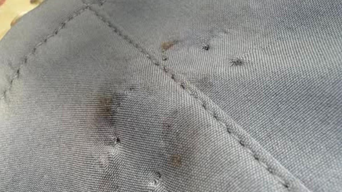 網友家人褲管直接被咬出四個洞。（圖／翻攝自臉書「登山通報站」）