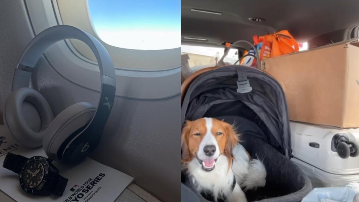 大谷翔平分享搭機時的照片，以及愛犬彈額頭的影片。（圖／翻攝自大谷翔平IG）