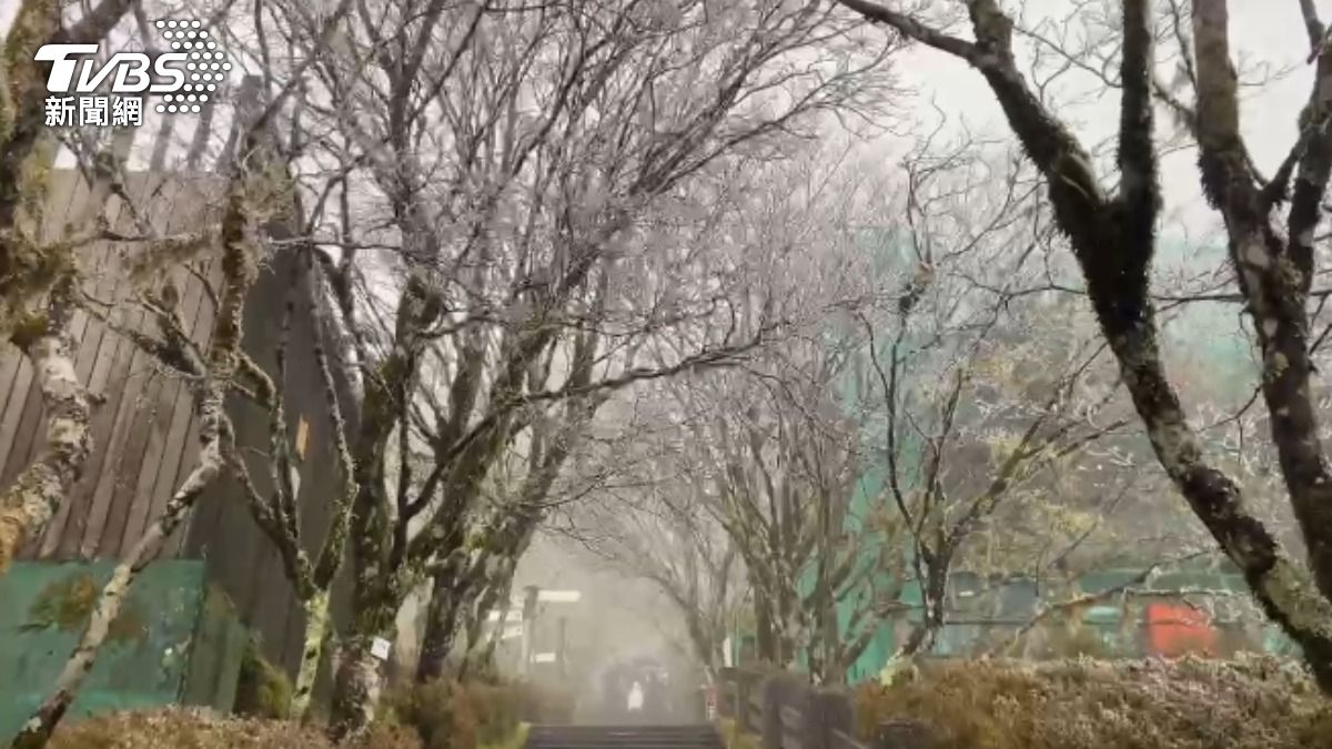 霧淞美景。（圖／TVBS）