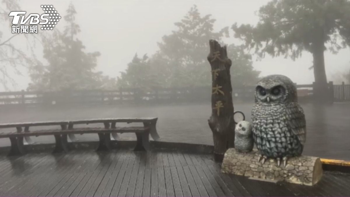 太平山氣溫達到攝氏零度。（圖／TVBS）