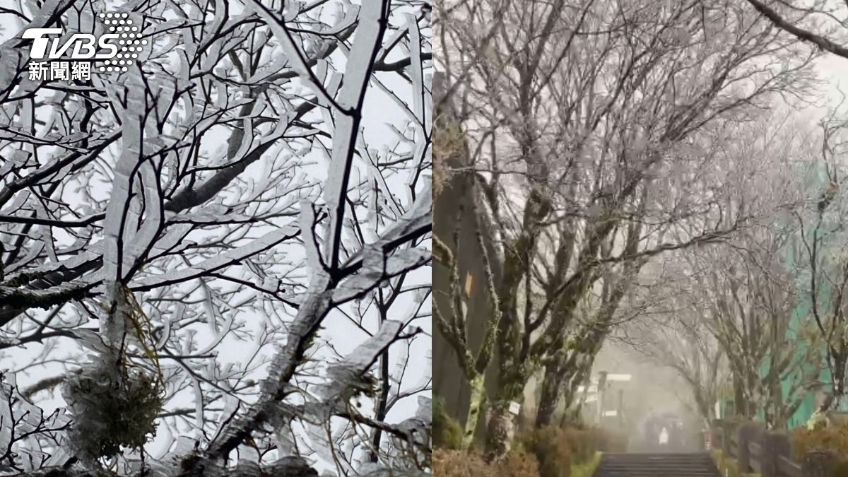 太平山尚未下雪，不過已見霧淞美景。（圖／TVBS）