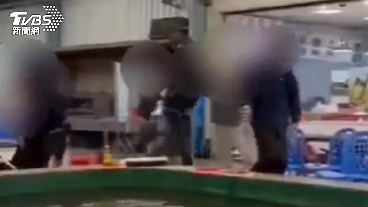 釣蝦場大亂鬥！7釣客酒後互毆　舉椅狠砸頭