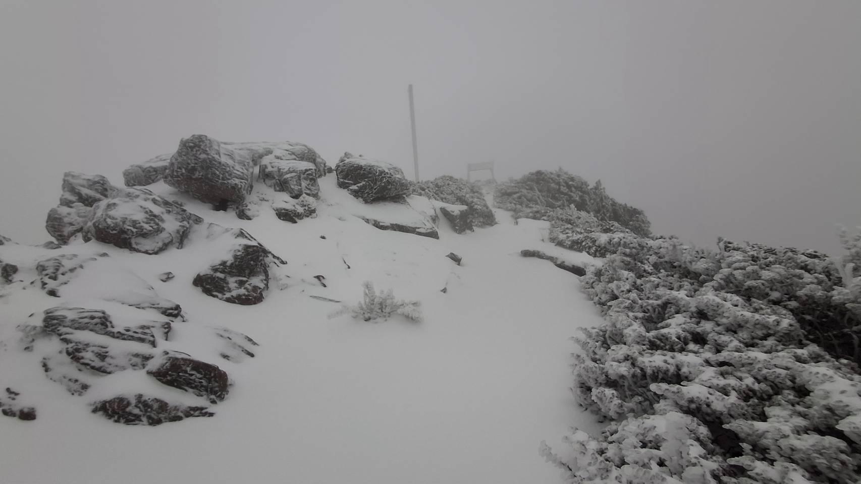 玉山,玉山山難,玉山魔王坡,玉山魔王坡山難,魔王坡山難,魔王坡墜谷,玉山墜谷,玉山魔王坡墜谷,山難