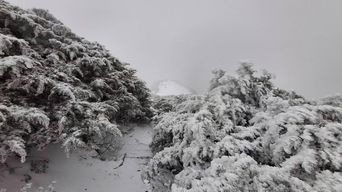 玉山-玉山降雪-冷氣欑-玉山氣象站-中央氣象署