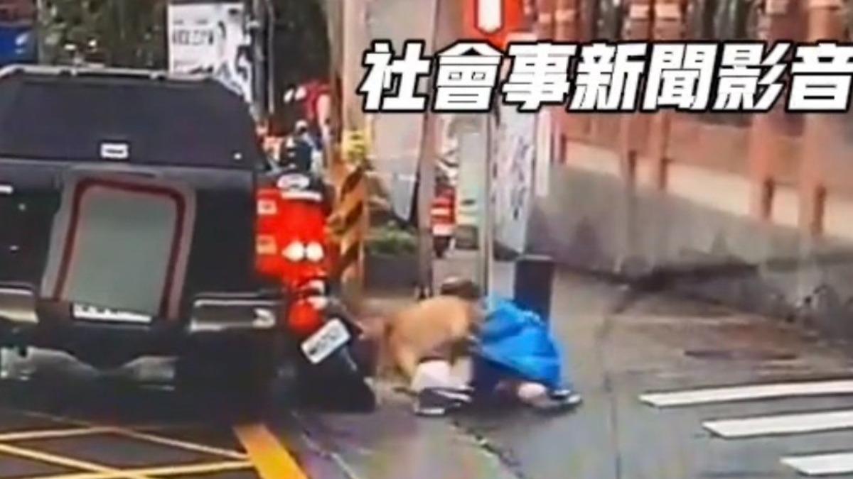 比特犬Lucky兩週內二度跳窗攻擊騎士。（圖／社會事新聞影音）