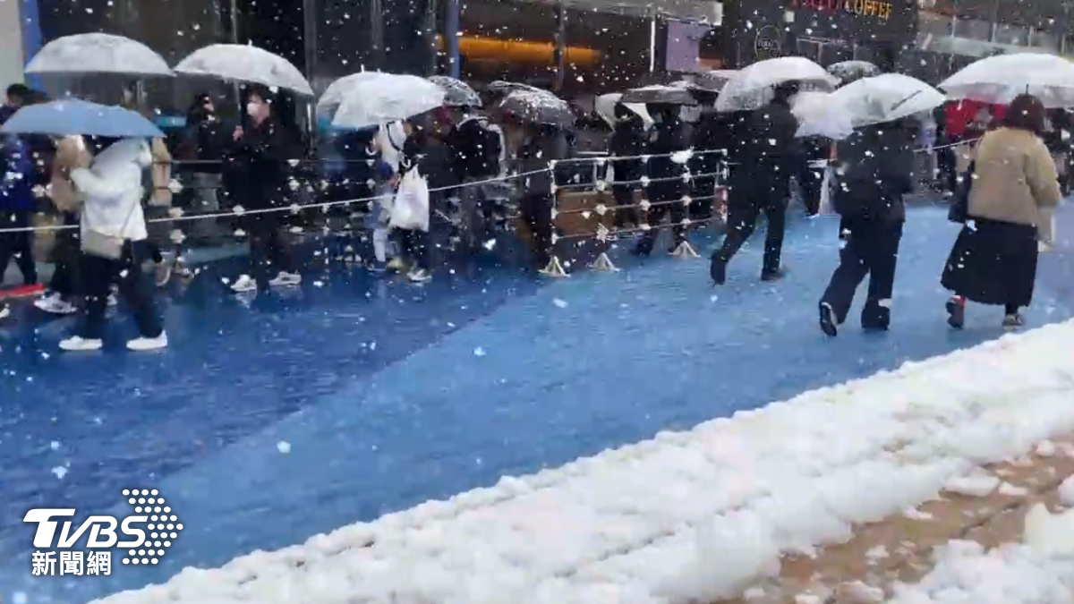東京巨蛋周遭下雪，不少MLB球迷撐傘小心行走。（圖／TVBS）