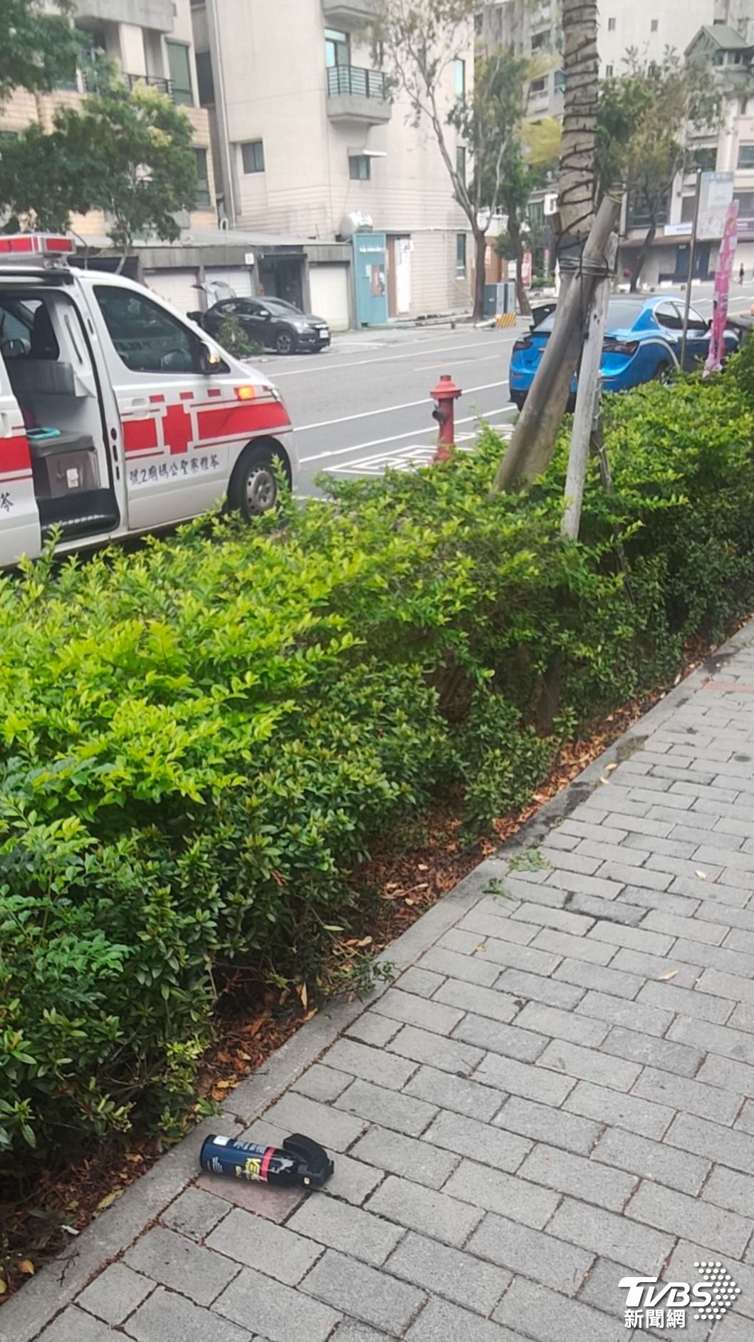 羅姓車主剛停好車，突遭2名陌生男砸車、毆打。（圖／TVBS）
