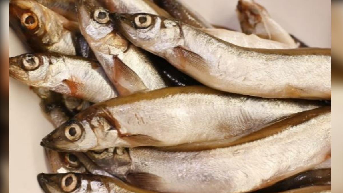 湖北驚見「吐魚洞」，每年清明都會湧出萬斤稀有魚類。（示意圖／取自pixabay）