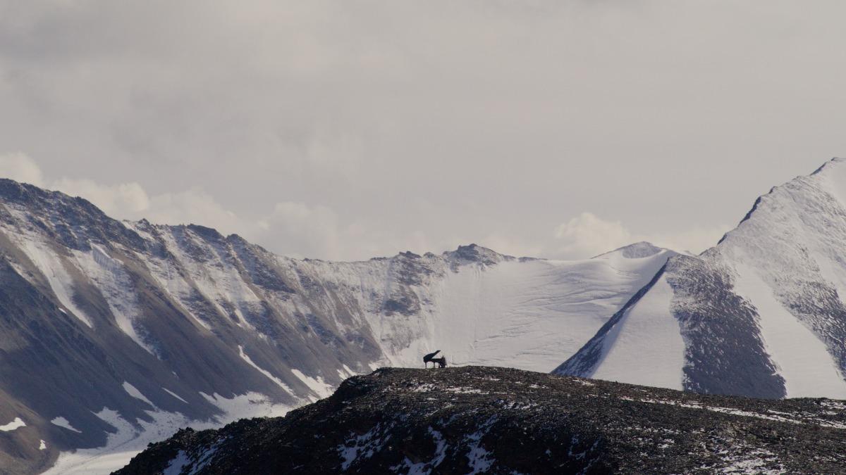 馬修連恩極限挑戰在近6000公尺北美第二高峰洛根山演奏鋼琴。（圖／獨一無二娛樂文化提供）
