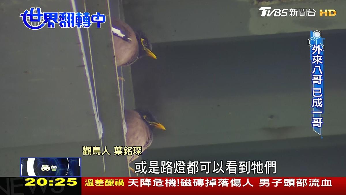 圖／TVBS