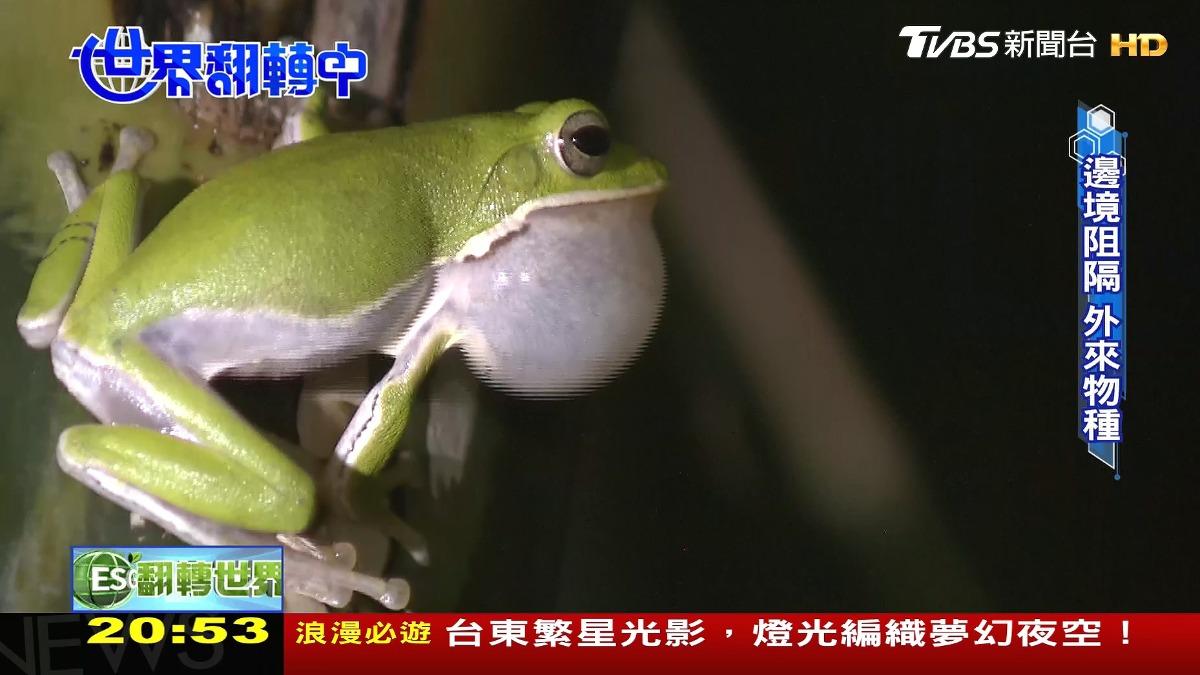 圖／TVBS