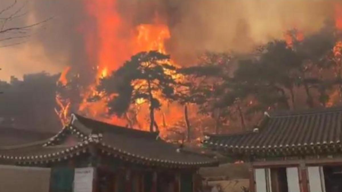 韓國義城郡雲羅寺附近山火肆虐，新羅王朝寺廟已被徹底摧毀。（圖／翻攝自微博）