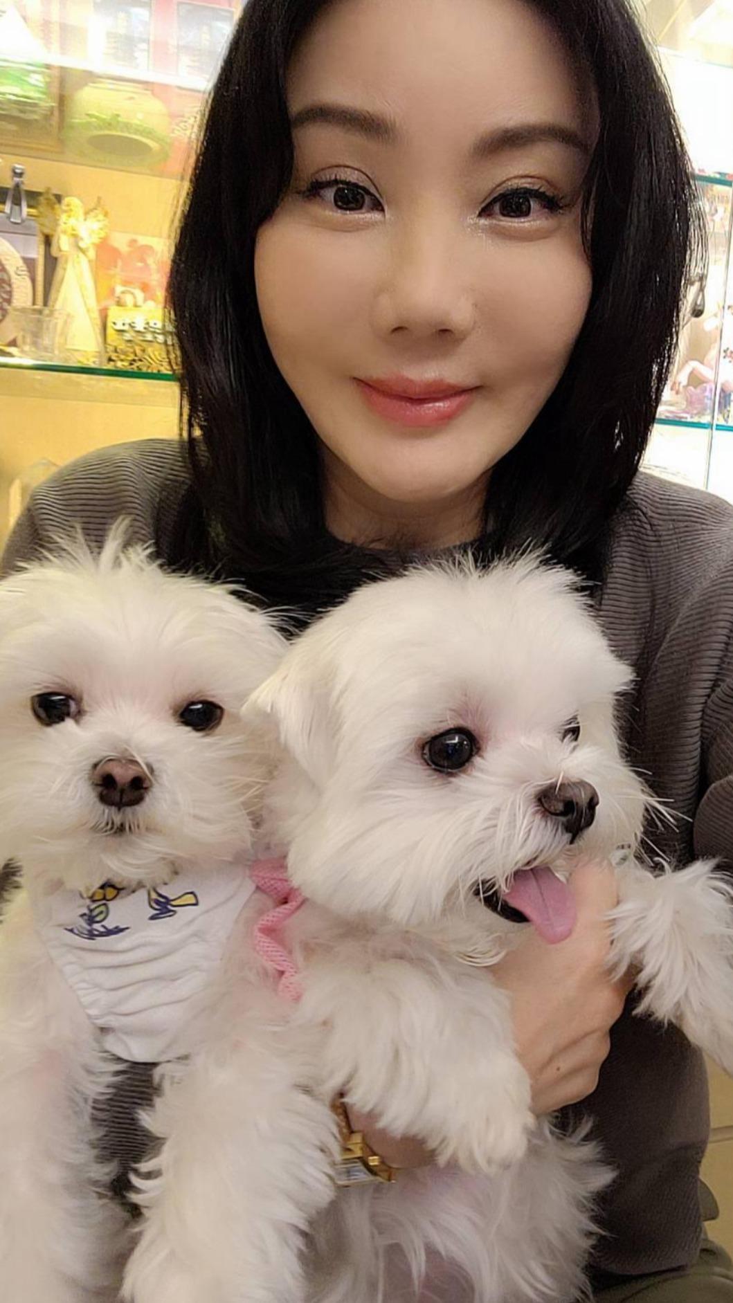 命理師沈嶸把愛犬當小孩照顧。（圖／財團法人流浪動物之家基金會提供）