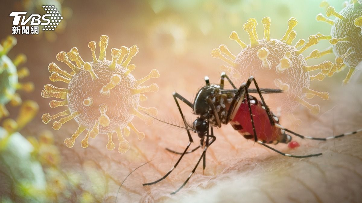 Taiwan CDC reports rise in dengue cases (Shutterstock) Taiwan CDC reports rise in scrub typhus, dengue cases
