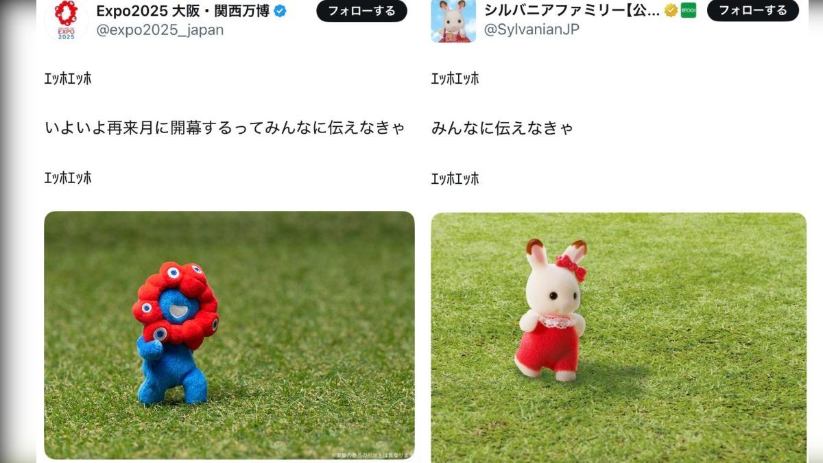 大阪關西萬博和玩具「森林家族」的官方帳號，分享模仿「手刀貓頭鷹」的哏圖。（圖／翻攝自Ｘ）