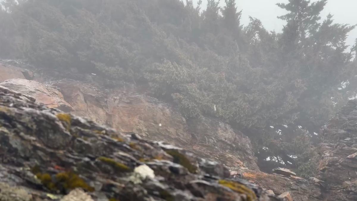 玉山今天凌晨溫度2.8度，早上下冰雹。（圖／氣象署）