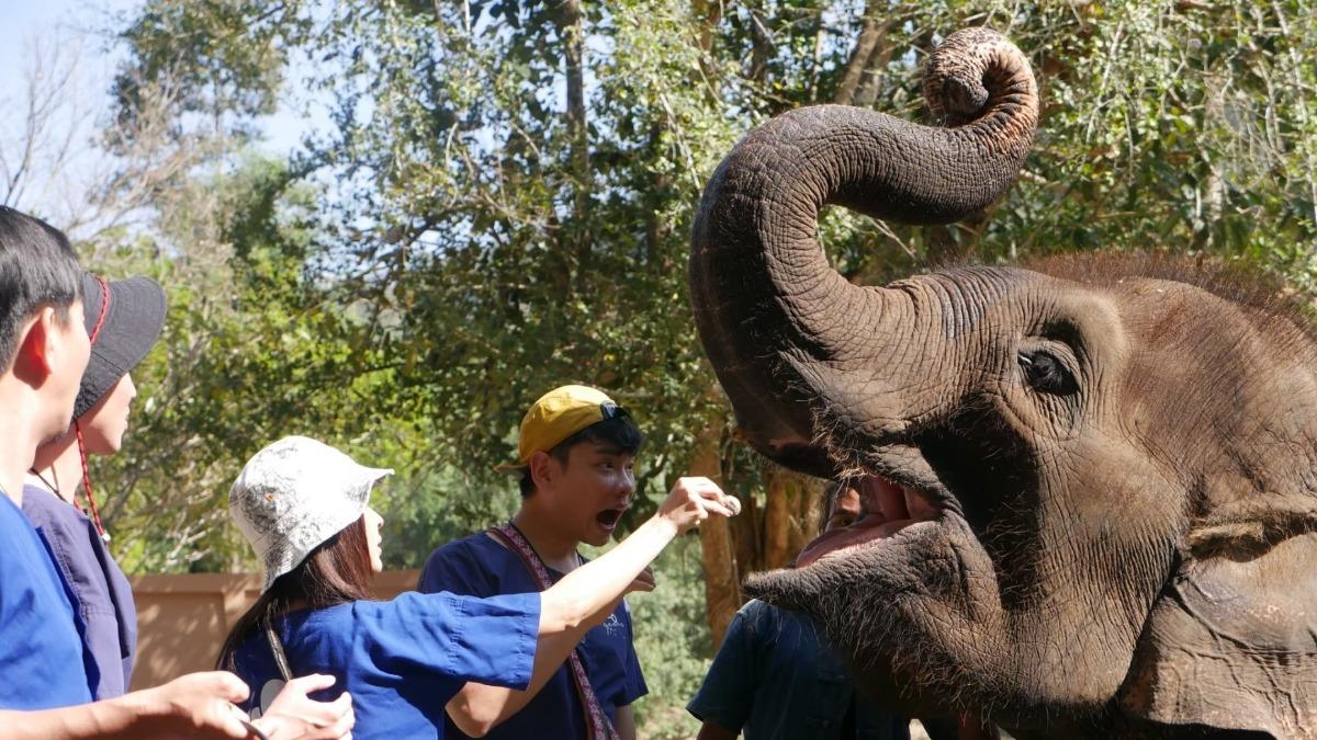 雷艾美一日象伕體驗。（圖／三立提供）
