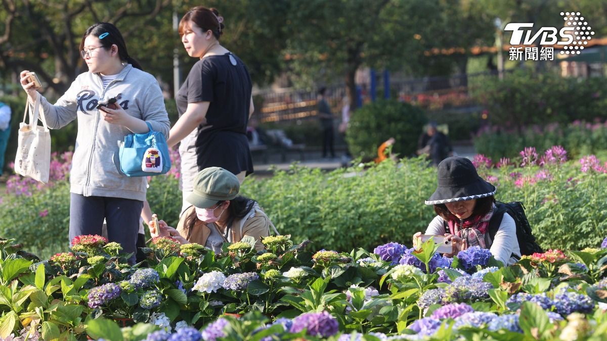 北市大安森林公園民眾趁天氣晴朗來賞花。（圖／中央社）
