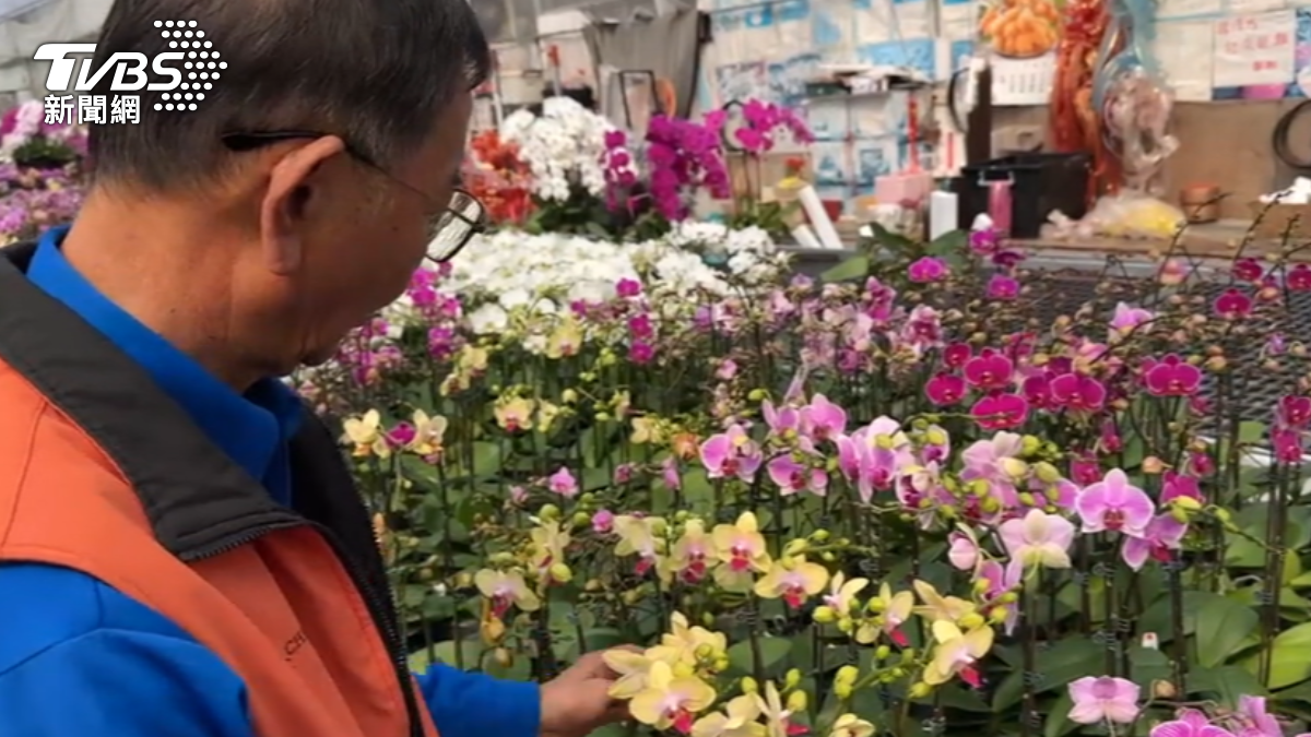 Taiwan plans offshore strategy to protect orchid exports (TVBS News) Taiwan rushes to shield US$1B orchid exports from US tariffs