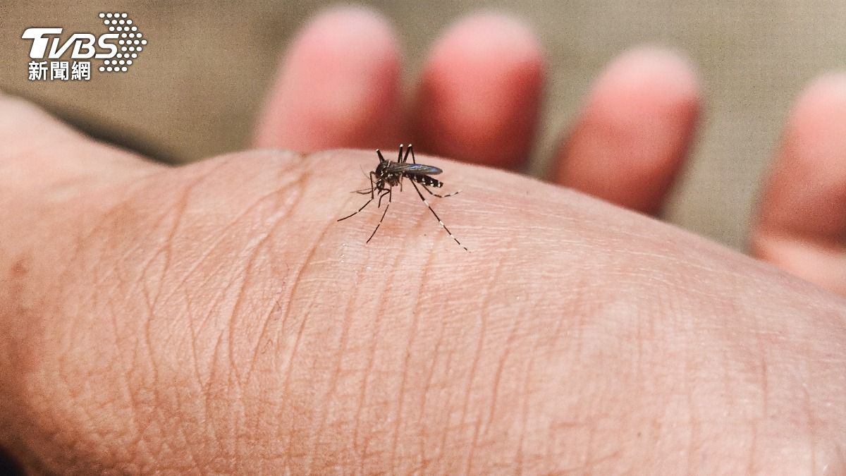 炎熱夏季到來，絕大多數人都會為了防蚊傷透腦筋。（示意圖／shutterstock達志影像）