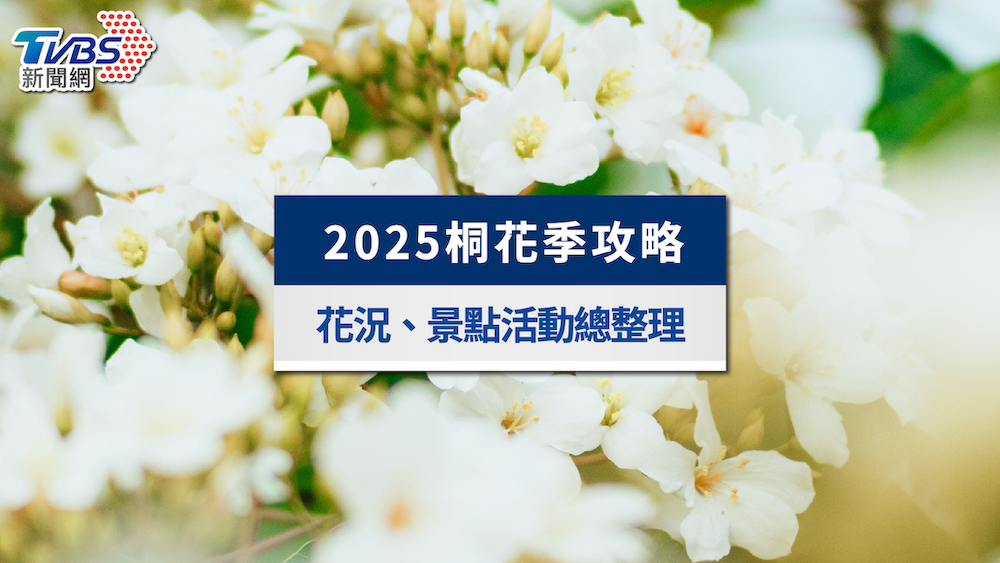 桐花季-桐花步道-桐花季2025-油桐花景點