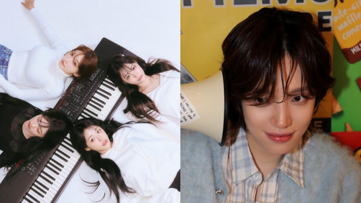NIEL（右）、韓國女子樂團QWER都將在5月來台。（圖／ FU Entertainment、DJB、城市之根音樂提供）