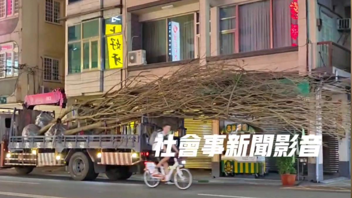 高雄貨車運送著巨型樹木在街上趴趴走。（圖／翻攝自社會事新聞影音）