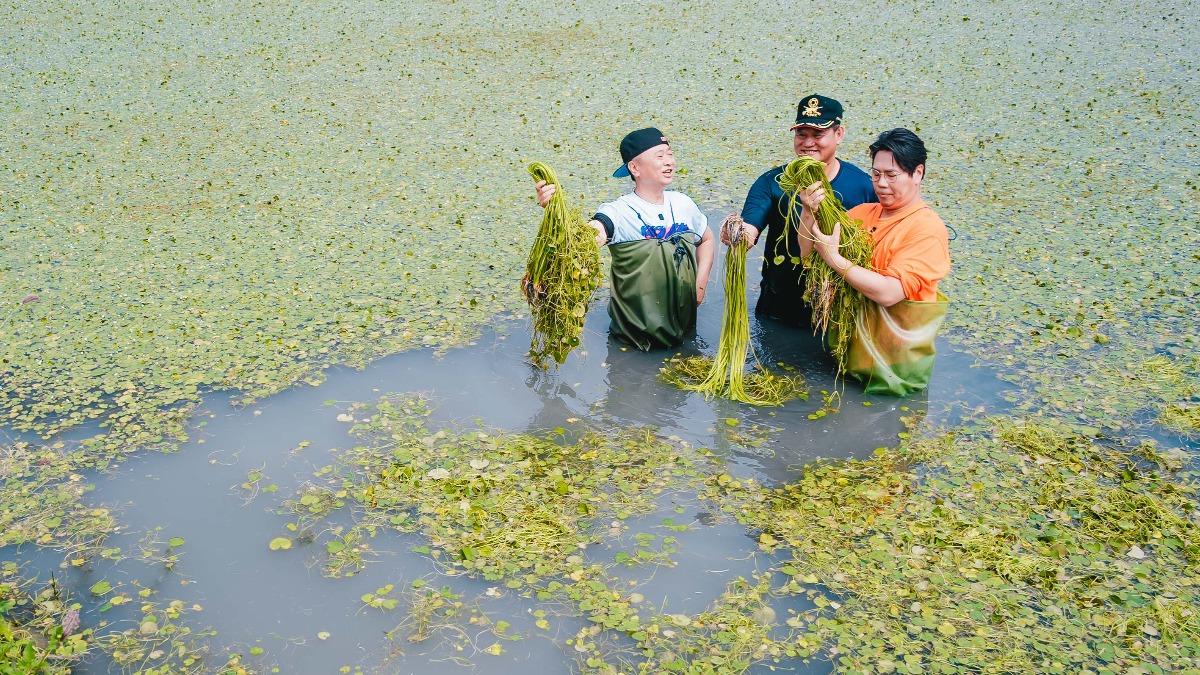 邰智源、邵大倫體驗採收水蓮，上演烏龍驚魂記。（圖／公視台語台提供）