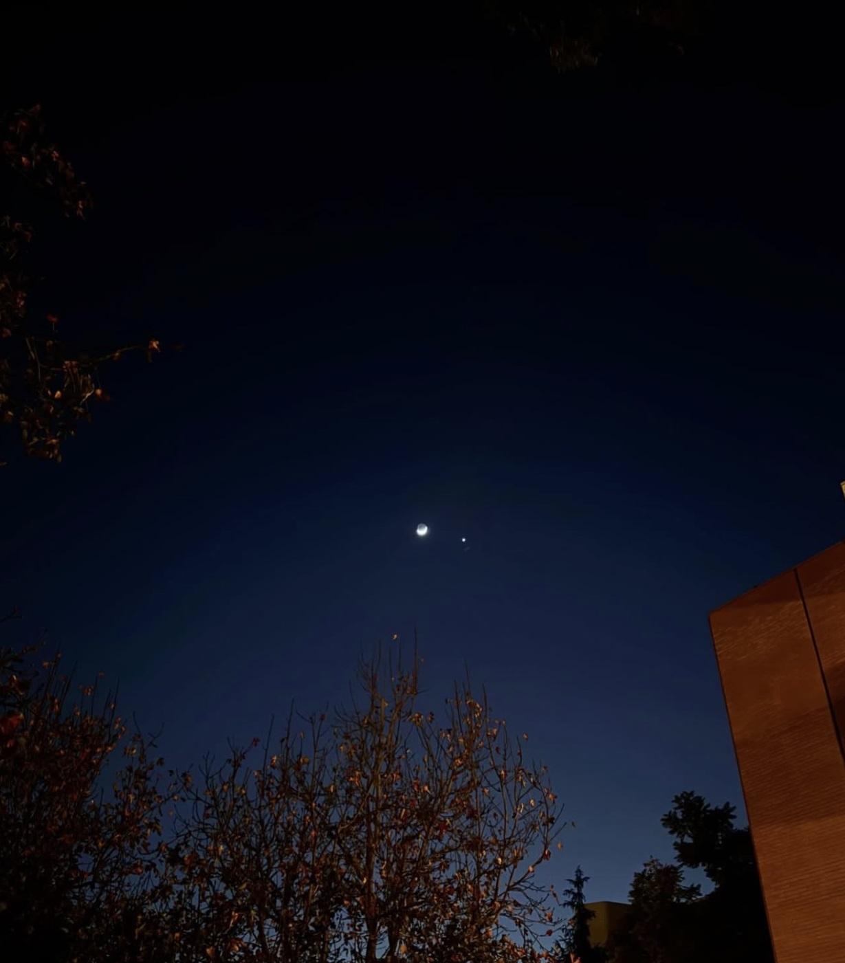 Elly分享一張夜空照，似乎在懷念大S。（圖／翻攝自IG@polarbearelly）