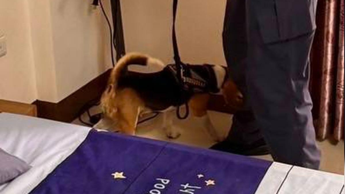 澎湖警方昨帶警犬進入出租住宅搜索，逮捕涉嫌吸毒的4名男子。（圖／TVBS）