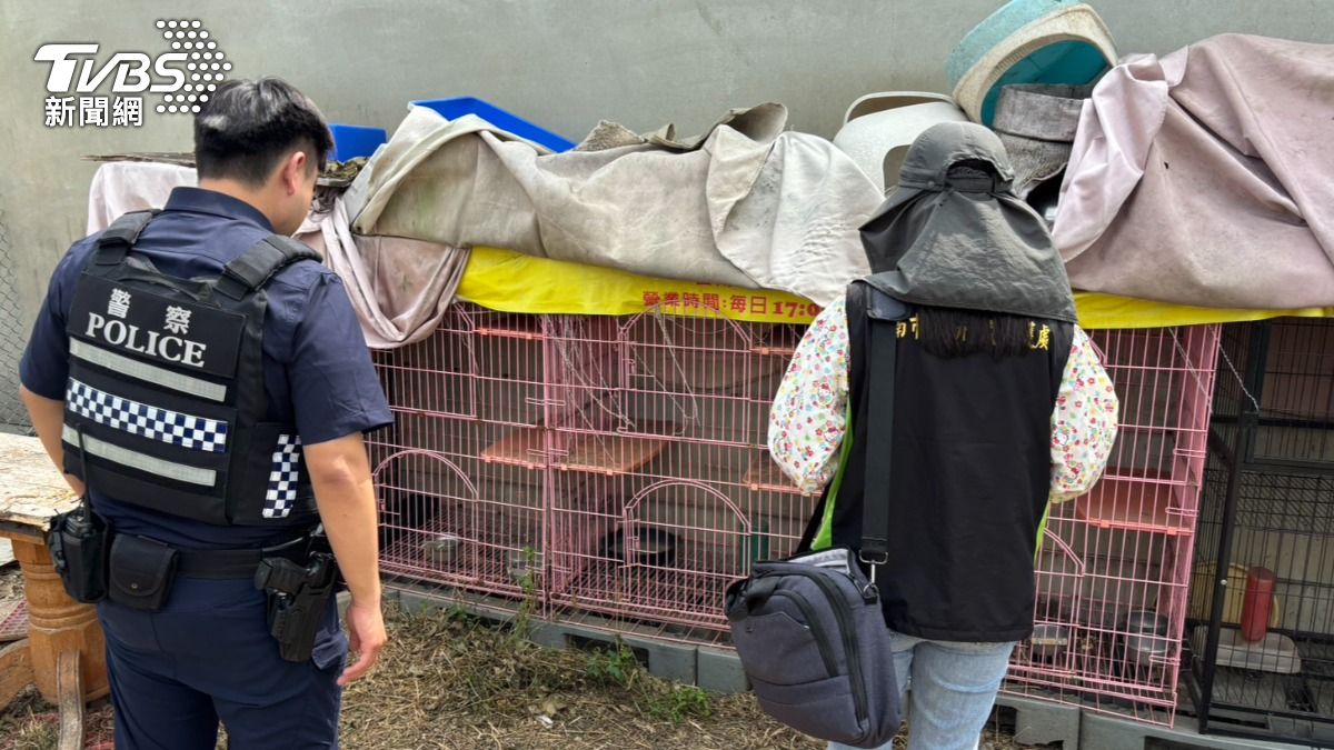 台南永康一間餐廳傳出驚悚虐貓案。（圖／TVBS）