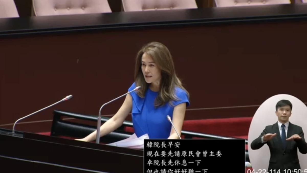 無黨籍立委高金素梅表示，若靠美國是死路一條。（圖／翻攝自國會頻道）