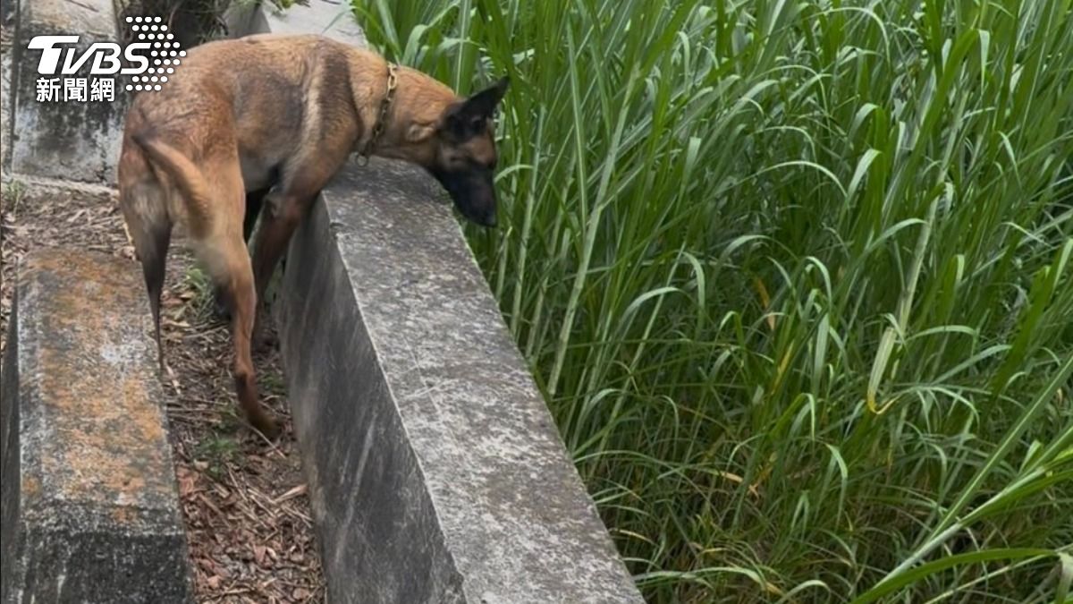 瑪莉在溝渠內找到老婦。（圖／TVBS）