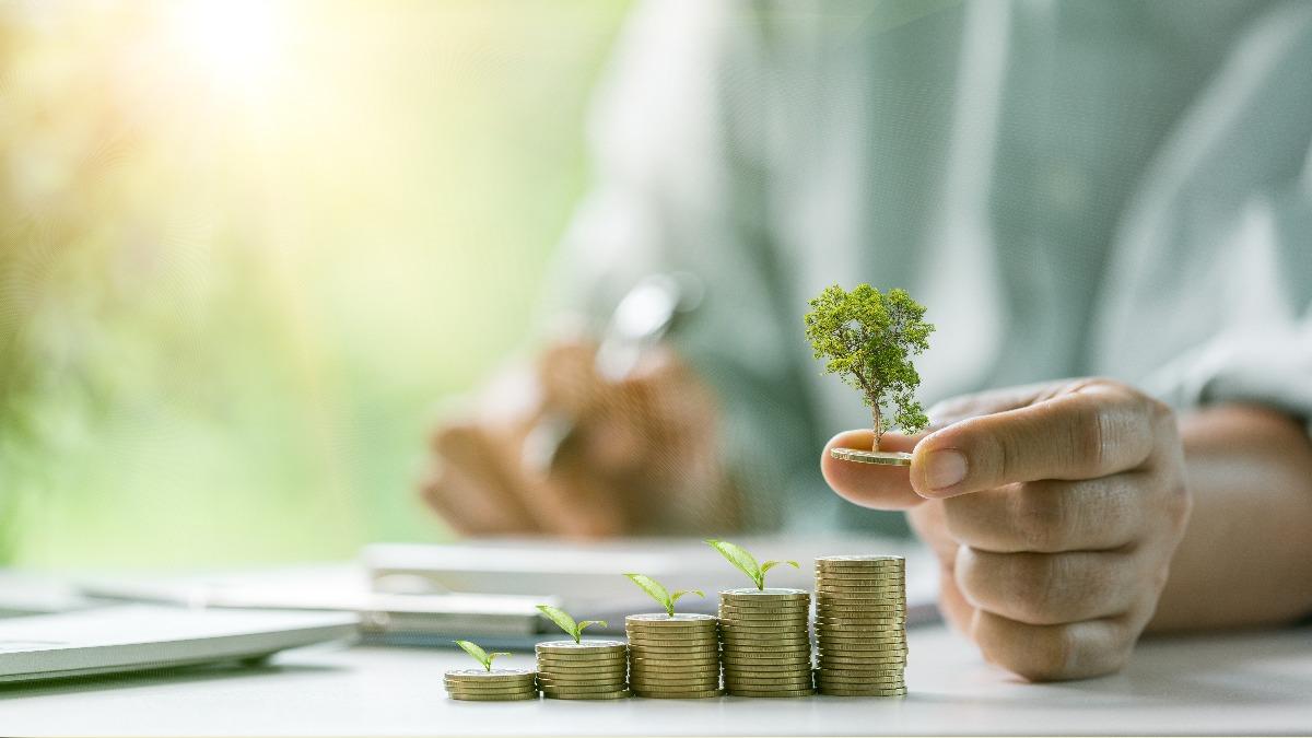 Taiwan bets on green economy amid global policy changes (Shutterstock) Taiwan sees opportunity in Trump’s environmental rollbacks