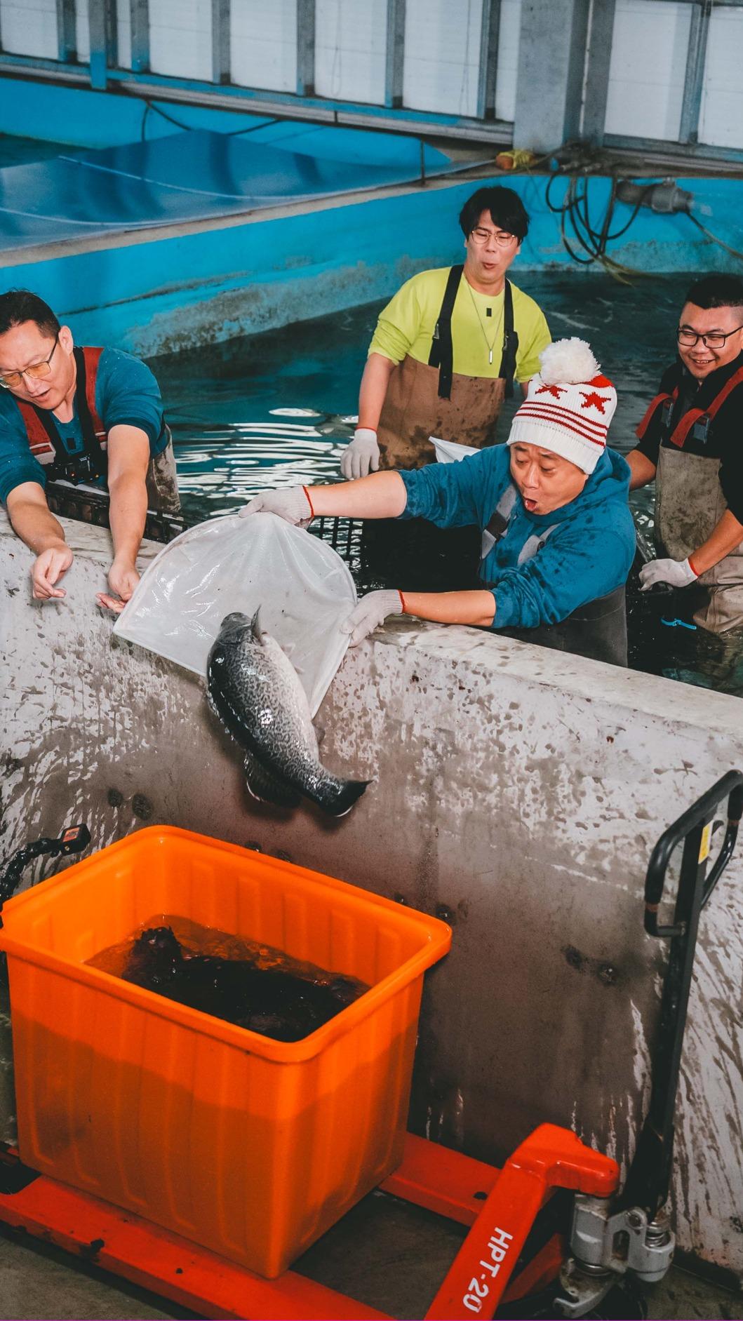 邰智源與邵大倫下魚池，體驗撈魚。（圖／公視台語台提供）