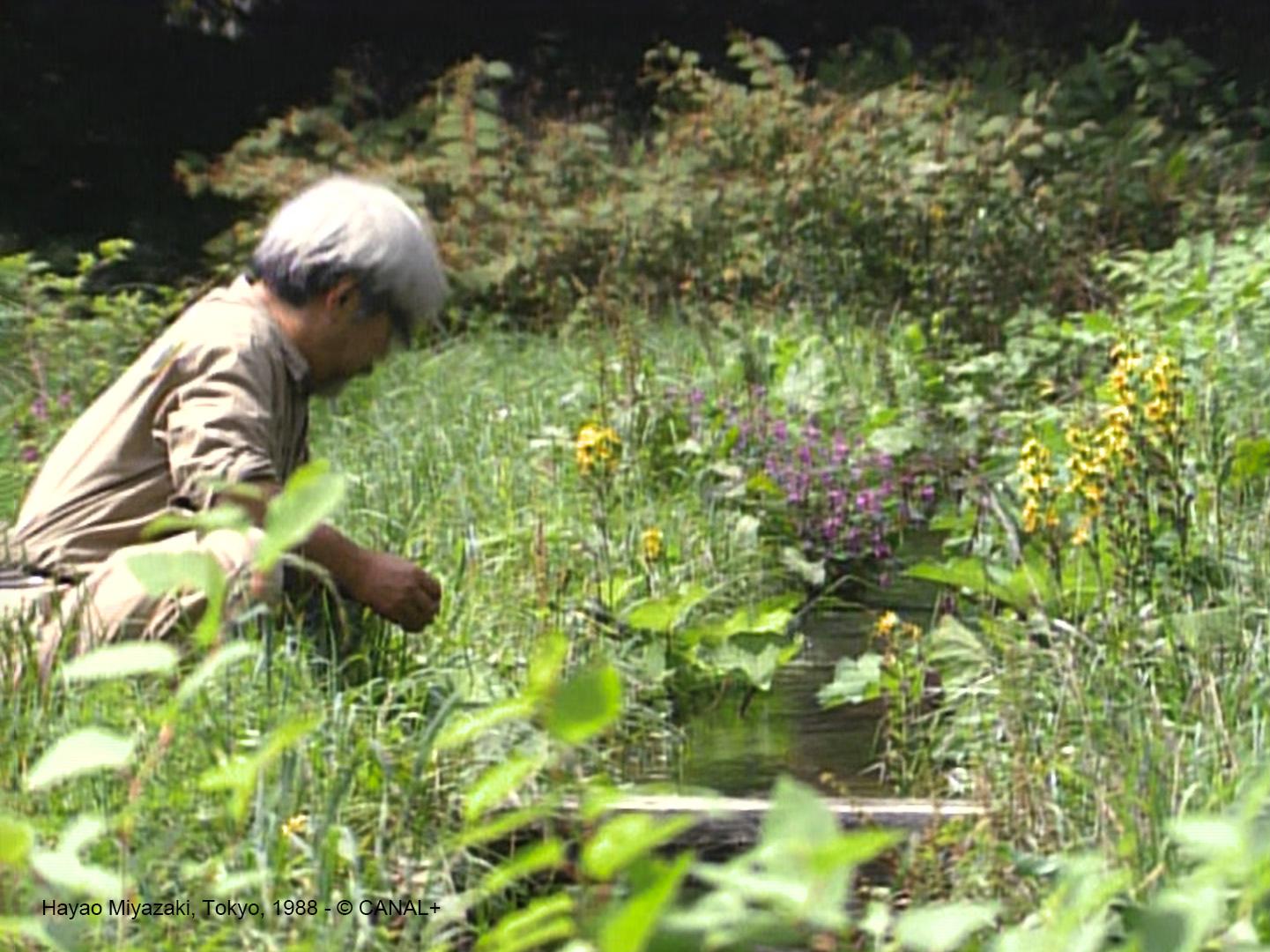 《宮﨑駿的奇幻世界》是首部聚焦於日本動畫大師宮﨑駿生平、作品與自然環境深厚連結的紀錄片。（圖／甲上娛樂提供）