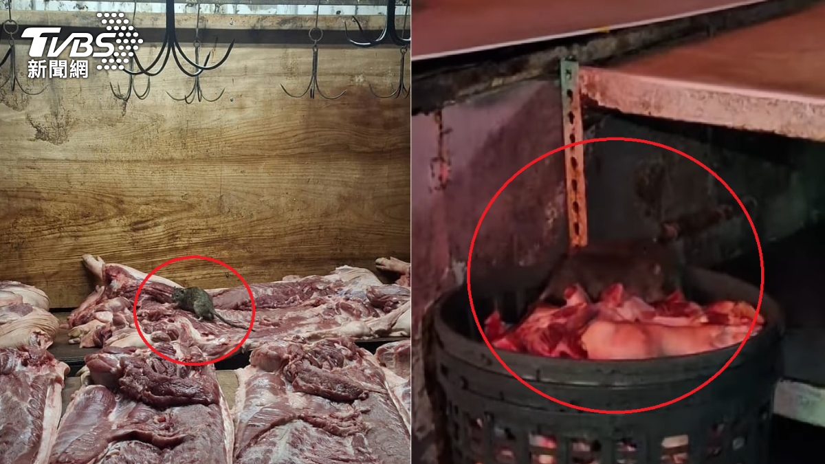 菜市場肉攤驚見「肥碩米奇」！生肉置地放到天亮　超噁畫面曝