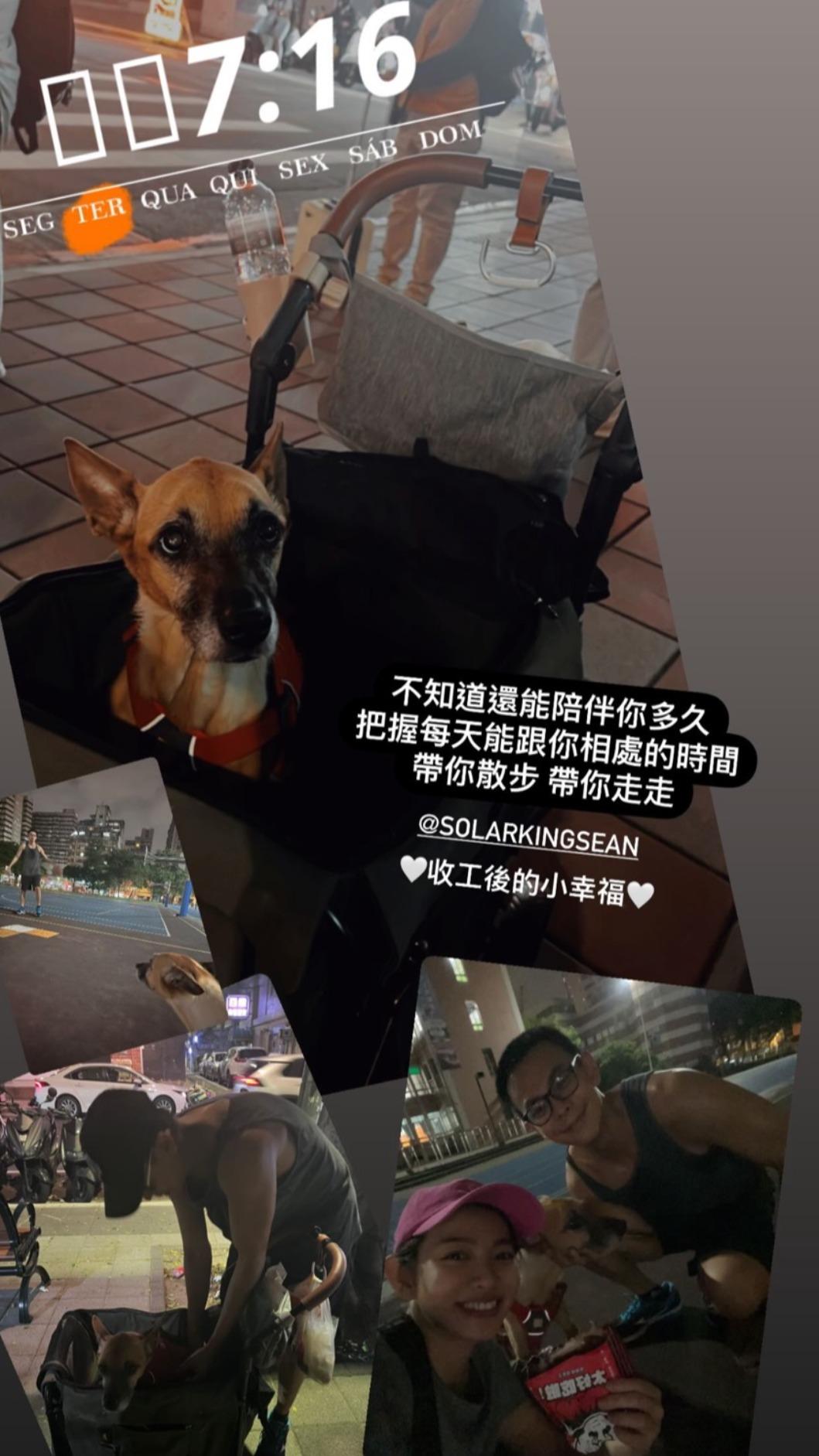米可白分享和男友孫綻一起陪愛犬散步的照片。(圖/翻攝自米可白IG)