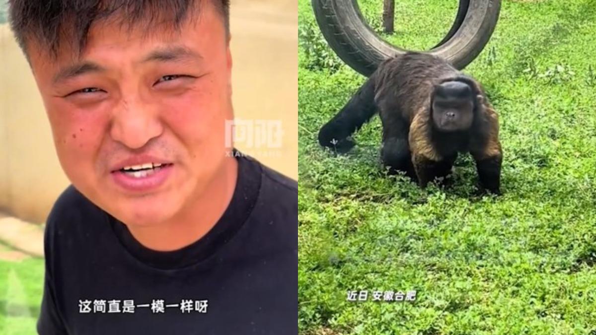 「狗王」目睹方臉猴後,驚呼「簡直一模一樣!」(圖/翻攝自微博《大皖新聞》)